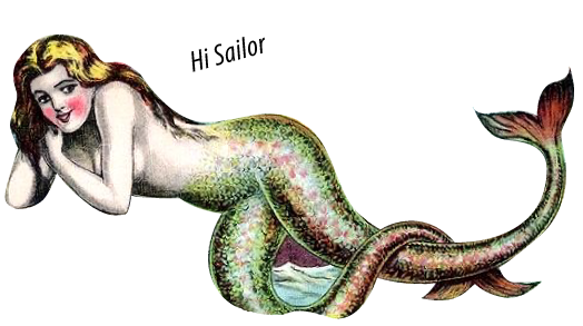 hi-sailor